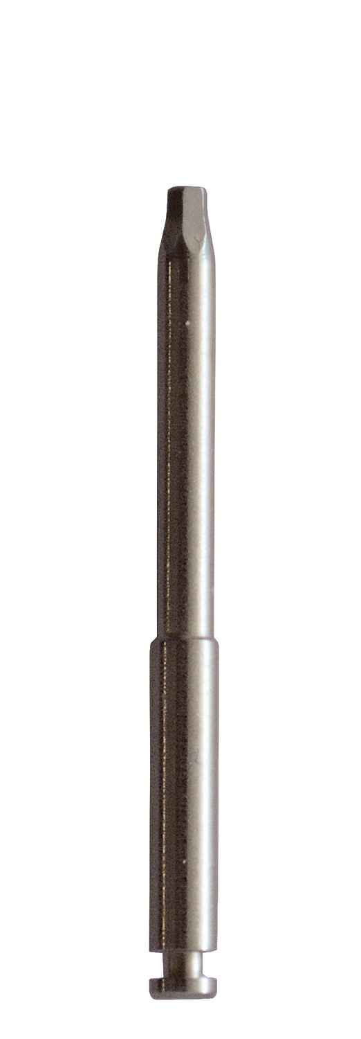Parafuso de substituição Prio Plus Abutment