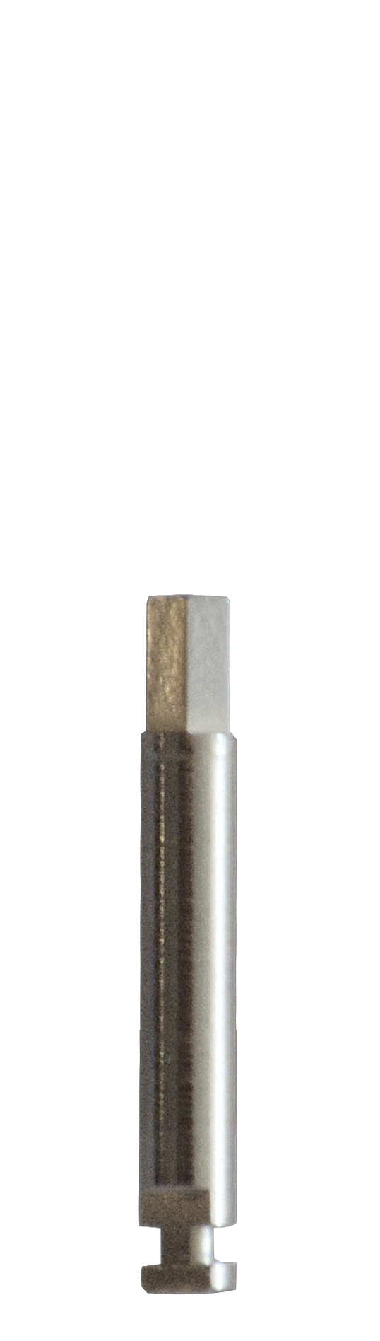 Parafuso de substituição Prio Plus Abutment