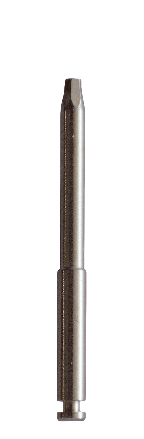Parafuso de substituição Prio Plus Abutment